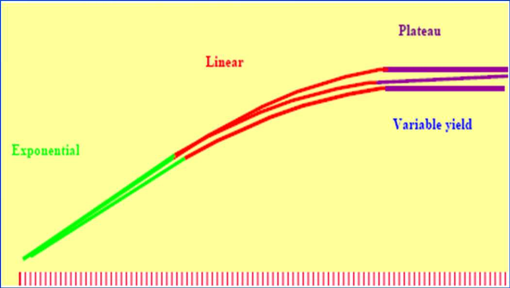 PCR reaction progression Esponeziale: L efficienza della reazione di amplificazione e assimilabile al 100%. il DNA si amplifica in maniera molto precisa e specifica, i reagenti sono freschi.