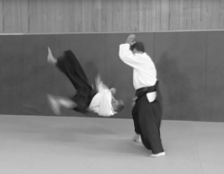 NAGE TAISABAKI IRIMI