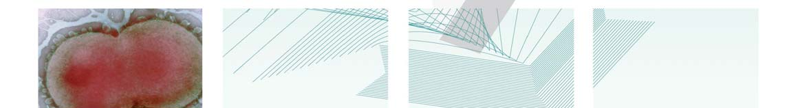 ID 21 I Emissione no: 2,2 I Data