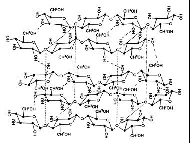 raggruppamenti affiancati di fibrille elementari del diametro di circa 35 Å o multipli. Fig. D.