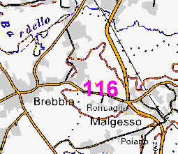 Monitoraggio componente vegetale - 2013 ID 116 Scheda descrittiva dell