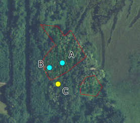 2 ID 134 Scheda descrittiva dell area Centroide: X Y