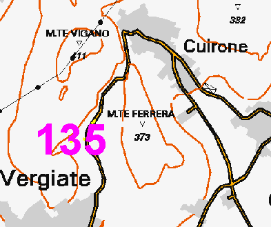 Monitoraggio componente vegetale - 2013 ID 135 Scheda descrittiva dell