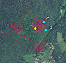 2 ID 137 Scheda descrittiva dell area Centroide: X Y Identificazione: