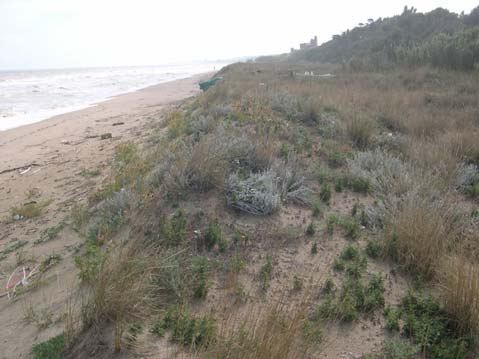 Spiaggia di