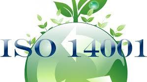 OPPORTUNITA : sistemi di gestione ambientale Che cosa si intende per ISO 14001?