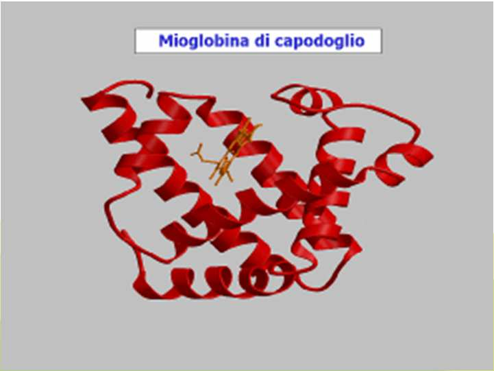 nucleici, proteine, etc.