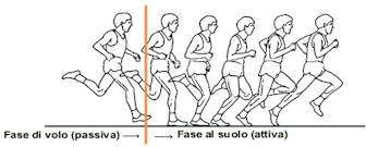 L'aspetto fondamentale che differenzia la corsa dal cammino è la fase di volo. Durante questa fase, assente nella normale deambulazione, nessun piede rimane appoggiato a terra.