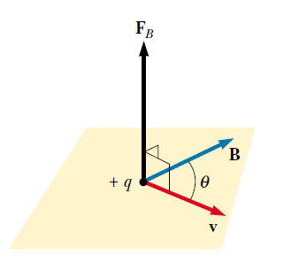 CAMPO MAGNETICO (6) La direzione della forza di