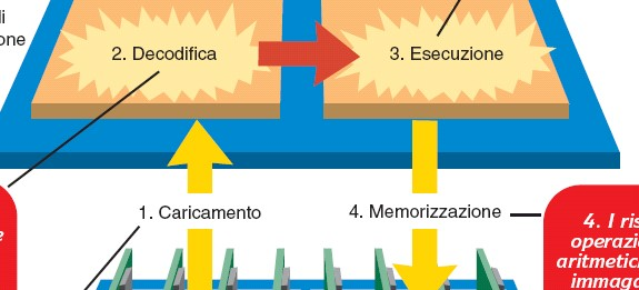 Ciclo