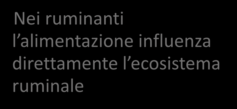 direttamente l ecosistema ruminale E poiché una