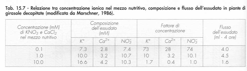 FATTORI che influenzano velocità e composizione del succo xilematico 1.
