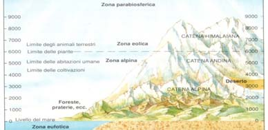 Introduzione alle tematiche principali della Geografia fisica: la biosfera La biosfera è l ambiente naturale nel quale l uomo si colloca e