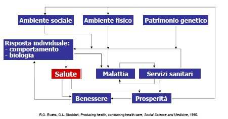 modelli ecologici (ecologic( models) Evans & Stoddart field model interconnessione di fattori sociali, ambientali e personali che