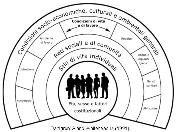 modelli ecologici (ecologic( models) Dahlgren and Whitehead model Dahlgren G and Whitehead M (1991)