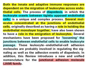 five cadherin repeats as green rectangles)] on apposing cells, the immunoglobulin (Ig) gene superfamily molecules platelet