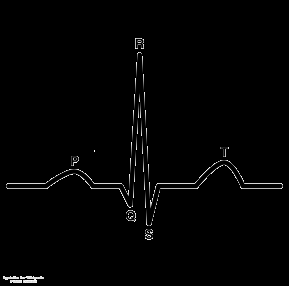 REAZIONI AVVERSE Alterazioni all ECG Tempo Metilfenidato Atomoxetina 6 mesi 10/214 (4,7%) 8/221 (3,6%) 12 mesi 19/190 (10,0%) 7/169 (4,1%) MPH>ATX Percentile di peso/altezza a 12 mesi Tempo