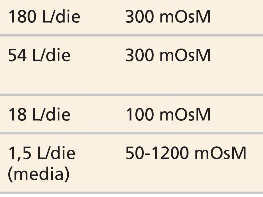 Variazioni di volume ed osmolarità del filtrato lungo il nefrone REGIONE DEL NEFRONE VOLUME DEL LIQUIDO OSMOLARITÀ CAPSULA BOWMAN FINE DEL TUBULO PROSSIMALE FINE