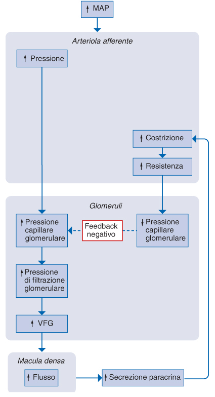 CONTROLLO INTRINSECO DELLA VFG: