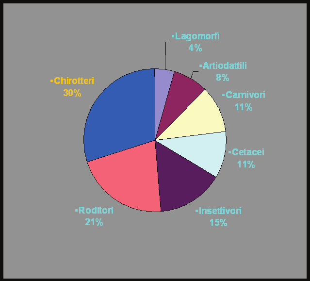 Quanti sono i Chirotteri in Italia?