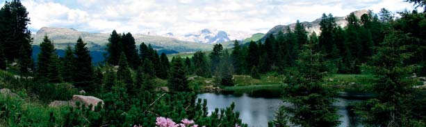 CALALZO DI CADORE - BL dal 30 giugno al 14 luglio 805 m. s.l.m., in zona panoramica con giardino e piscina coperta. HOTEL BELLAVISTA 810 Supplemento singola 240 ASIAGO VI dal 14 al 28 luglio A 1000 m.