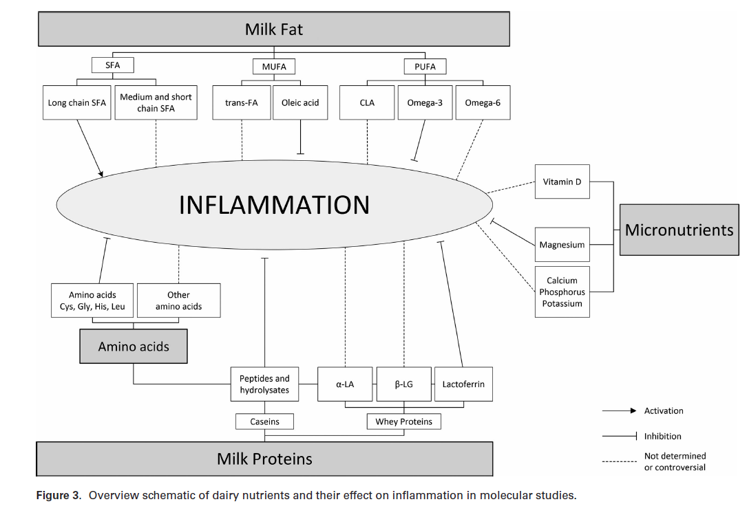 Nutrienti ed infiammazione