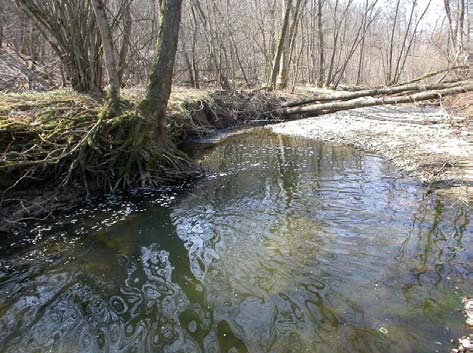 disponibilità di un habitat fluviale idoneo a