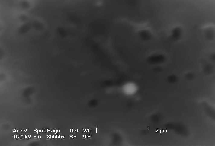 Caratterizzazione delle singole particelle Morfologia sferette < 1μm Composizione