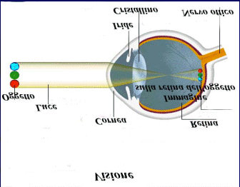 Modulo II slide 66 L'occhio