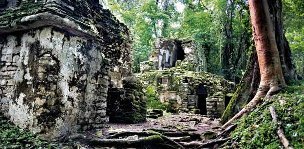 archeologiche maya e lo Yucatan, ultima testimonianza della civiltà maya. Mérida 2 Le rovine di Yaxchilán 3 Canyon del Sumidero.