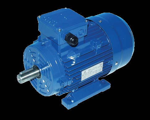 Sono disponibili in classe di efficienza IE1, IE2 e IE3. High quality and compactness are among the main characteristics you will enjoy when selecting our new three phase VELA electric motors.