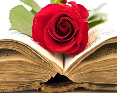 Tra pochi giorni sarà San Valentino e Il Club del Libro, anche quest'anno, non vi lascia da soli nella scelta del libro da regalare alla vostra dolce metà.