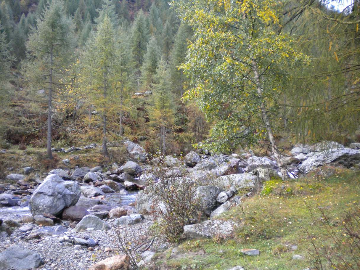 Torrente Vogna a monte del previsto guado In