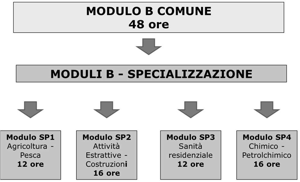 6.2 NUOVO PERCORSO FORMATIVO 6.