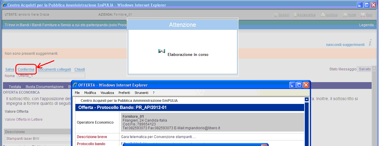 A completamento dell offerta cliccare sul link Conferma per avviare il processo di verifica formale del contenuto dell offerta inserita, prima di