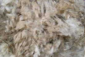 La lana come biomassa di scarto Fibra proteica Scarto abbandonato nei campi Rifiuto speciale di categoria 3