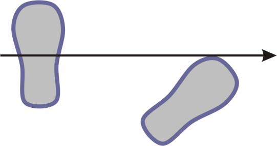 TECNICA DI BASE PER IL TIRO DI