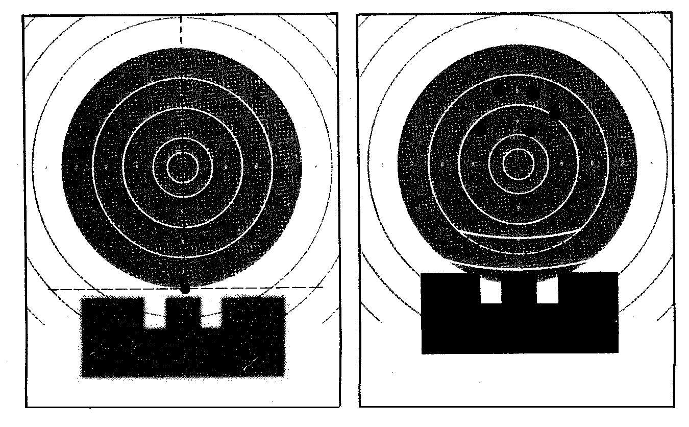 TECNICA DI BASE PER IL TIRO DI PRECISIONE: LA VISIONE DI