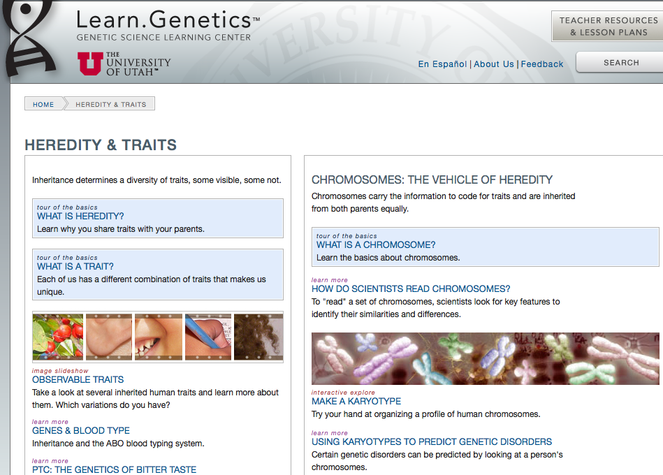 ATTIVITA DI BIOINFORMATICA SU CROMOSOMI E ANOMALIE CROMOSOMICHE COSA SONO I CROMOSOMI. COME SI CLASSIFICANO E COME VIENE REALIZZATO IL CARIOTIPO SITO INTERNET: http://learn.genetics.utah.