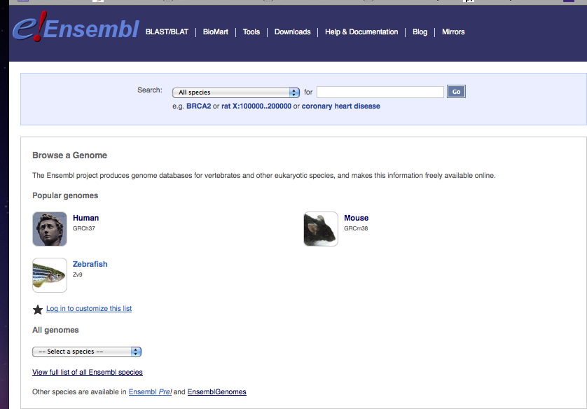 Sito QUIZLET con test in Inglese su anomalie cromosomiche.