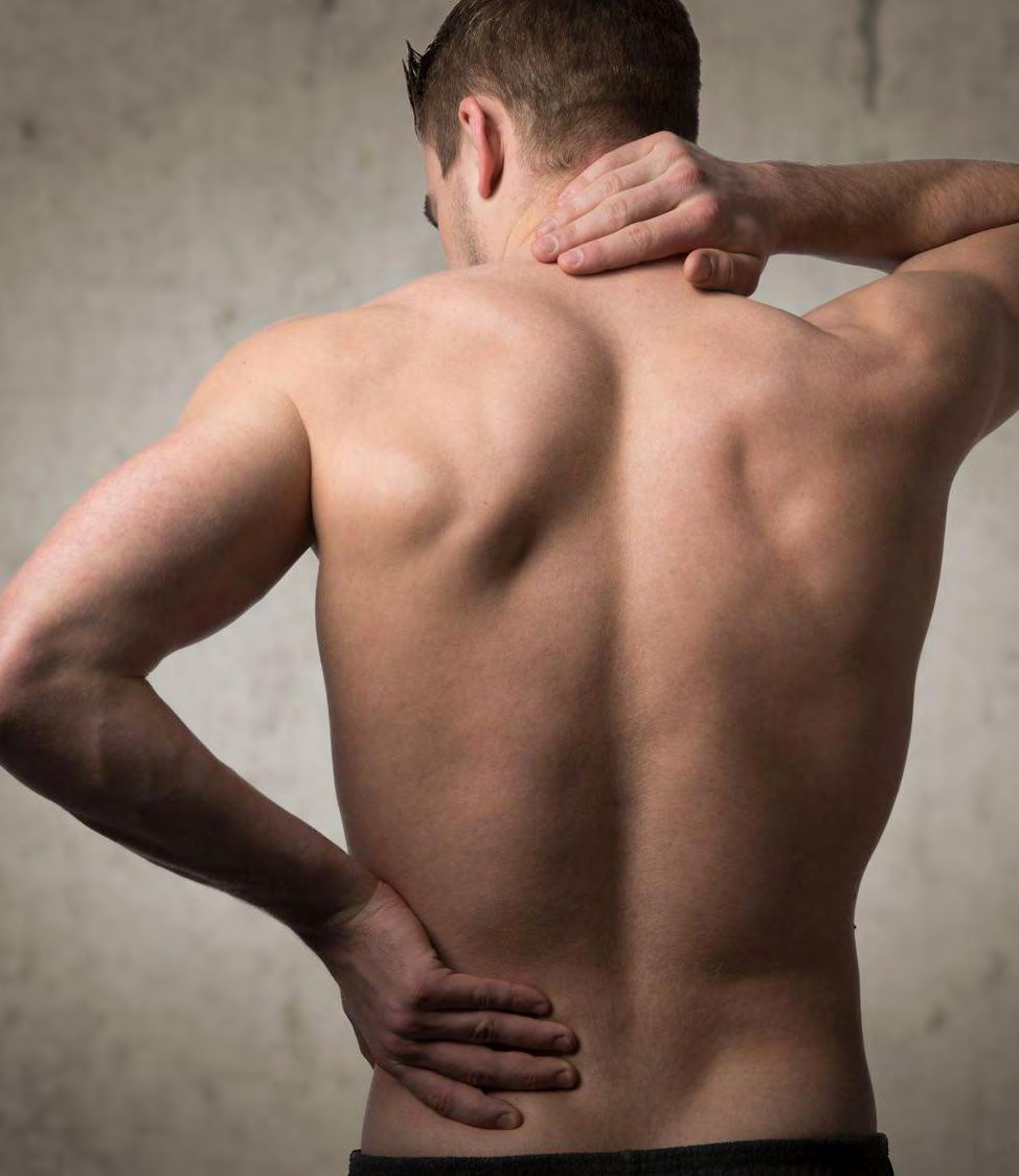Mal di schiena Come è stato dimostrato, il mal di schiena rappresenta in assoluto uno dei problemi di salute più frequenti.