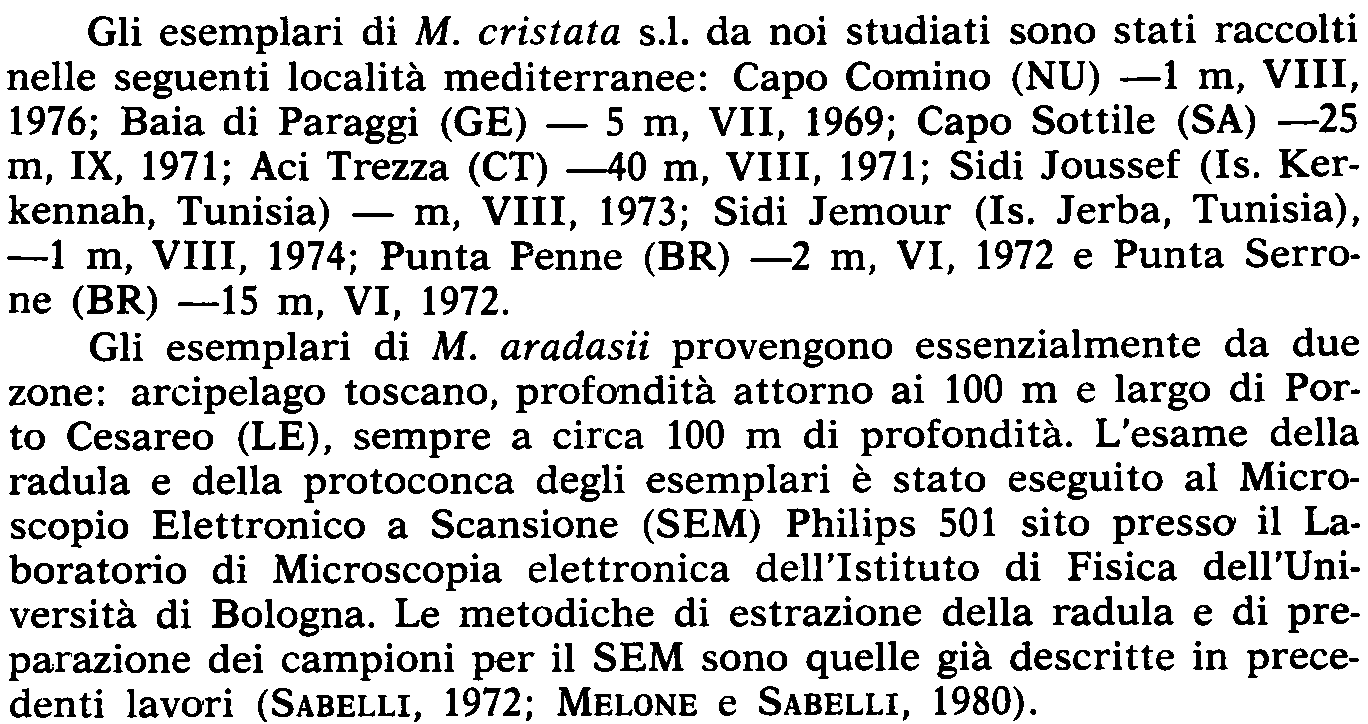 cristata (BROCCHI, 1814) e M. aradasii MONTEROSATO in POIRIER, 1882 (SABELLI e SPADA, 1977; PIANI, 1980, 1981a, 1981b), restringendo quindi la variabilità conchigliare a queste due sole entità.