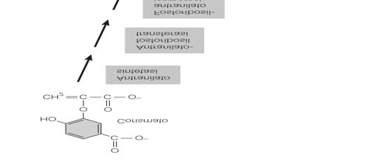 In generale gli operoni delle vie anaboliche sono repressi quando il prodotto