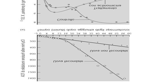 La sintesi proteica delle prime fasi di sviluppo