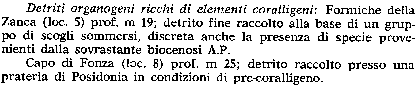 Detriti organogeni ricchi di elementi coralligeni: Formiche della Zanca (loc. 5) prof.