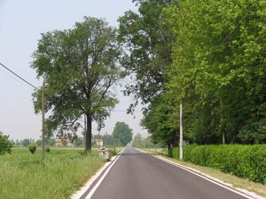 Zambonelli, giardino e suo