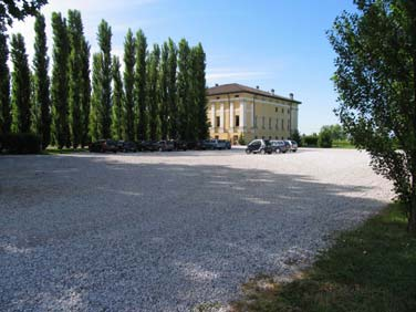 Alberi monumentali 3 Palazzo