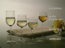 Il colore del vino Il colore del vino dipende da diversi fattori la tipologia di uva