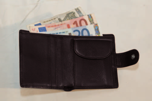 Compartments for banknotes, documents and cards pocket with bellow with button