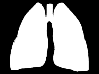 40 Topic: Diagnosi del tumore del polmone Procedura: biopsie e TBNA mirate 09.40 10.00 Topic: Adenocarcinoma Procedura: Allestimento dei campioni 10.00-10.